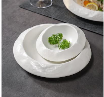 Irregular Shape Exquisite Cook - Home Cooking Dinner ulasan dan harga